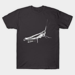 Grasshopper white T-Shirt